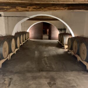 ✨ Wine & Château Experience