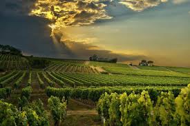 https://img.provenceholidays.com/4fce71fe-6951-471c-85eb-e485c4b6bd00/w%3D1440%2Cfit%3Dcontain